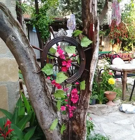 Sempati סייד