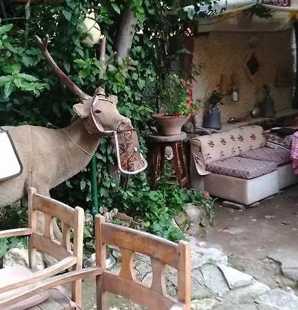 Sempati Hotel 2*
