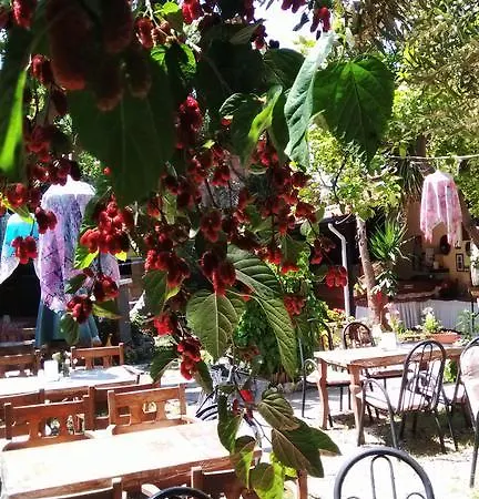 Sempati Hotel Side